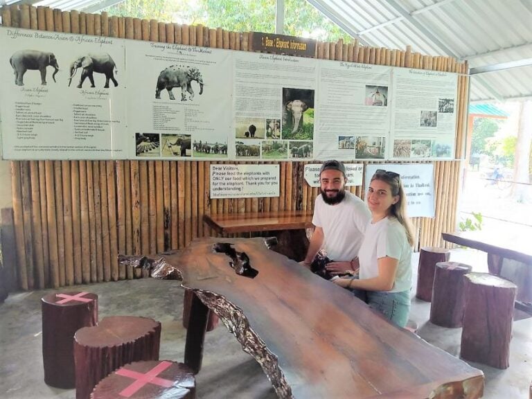 Khao Sok: Elephant Rescue Center With Lunch & Bamboo Rafting