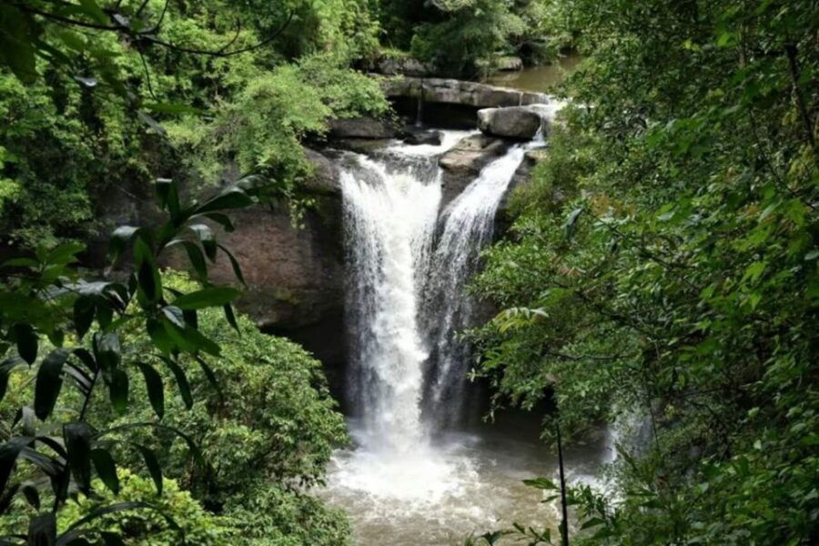 Khao Yai National Park Jungle Trekking Day Trip From Bangkok - Good To Know