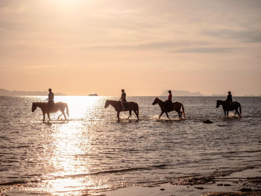Koh Samui: Guided Horse Riding Tour on the Beach - Good To Know