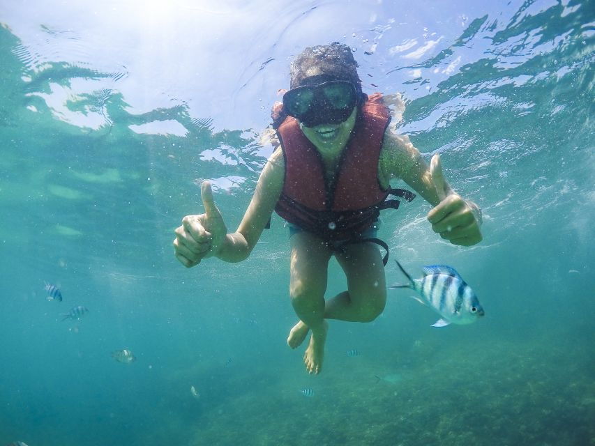 Koh Samui: Pig Island Tour by Speedboat With Snorkeling - Good To Know