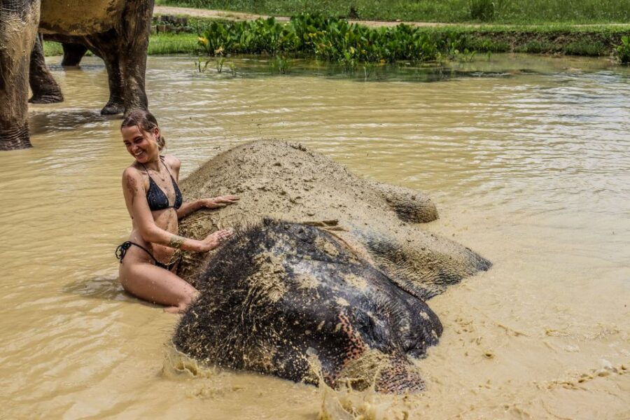 Krabi: Ao Nang Elephant Sanctuary Half-Day Tour - Good To Know