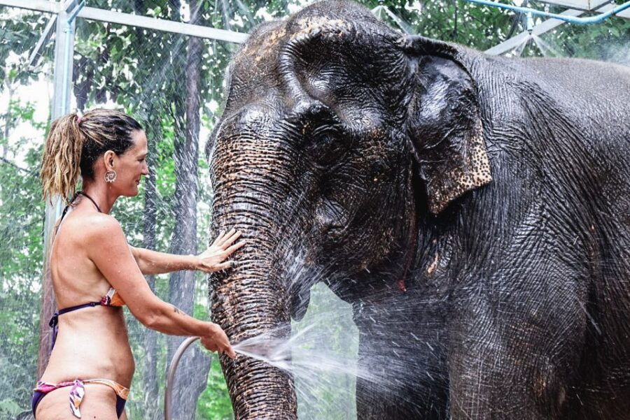 Krabi: Elephant Bathing Session at Krabi Elephant Shelter - Good To Know