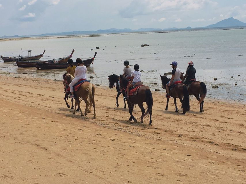 Krabi: Horseback Riding on the Beach - Good To Know