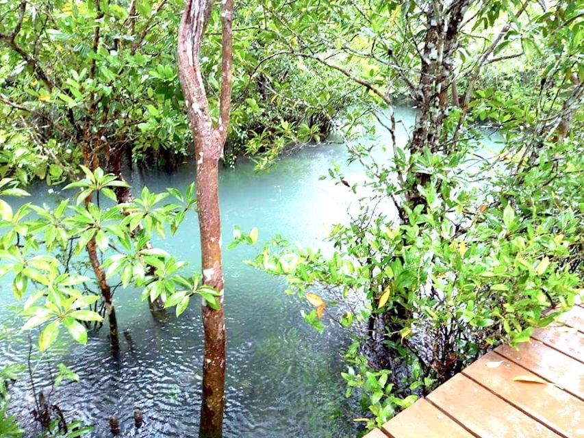 Krabi: Private Trip to Tiger Cave Temple & Waterfall - Good To Know