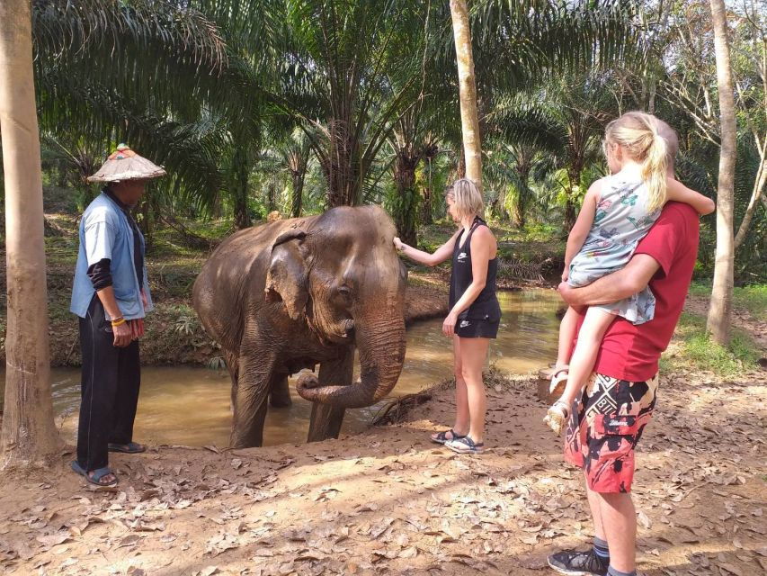 Krabi: Tour of Elephant Care House and Tiger Cave Temple