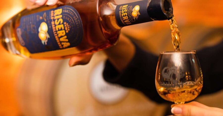 Krems: Exclusive Tour of Bailoni 1st Wachau Apricot Distillery