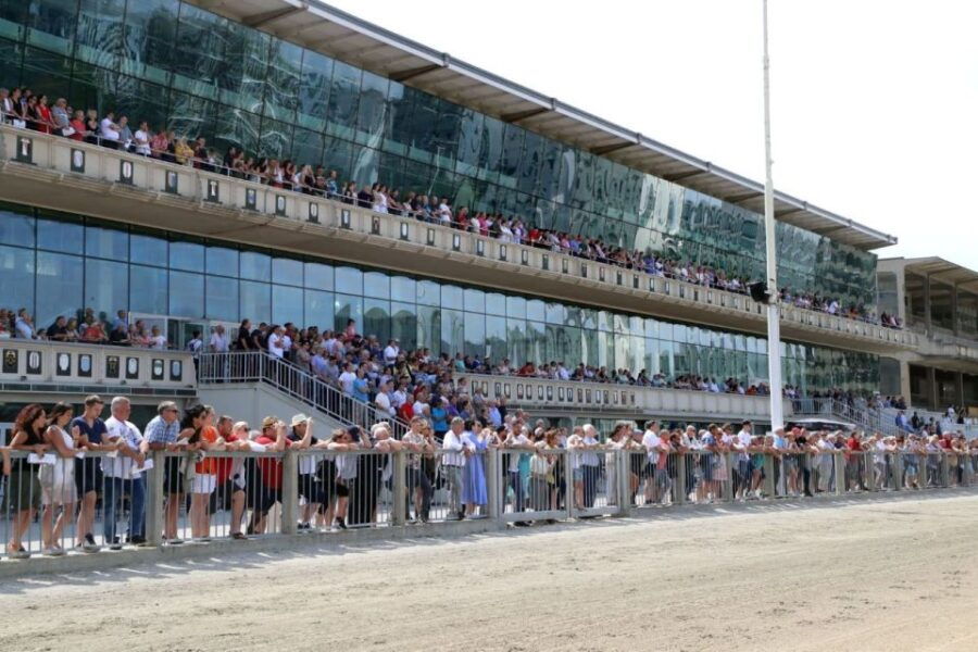 Krieau Historical Grandstand Tour Incl. Race Day - Good To Know
