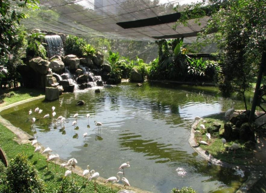 Kuala Lumpur: Bird Park, Butterfly & Garden Private Tour - Good To Know