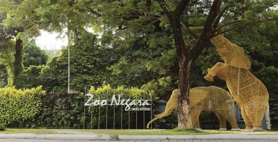 Kuala Lumpur: Zoo Negara Admission Ticket