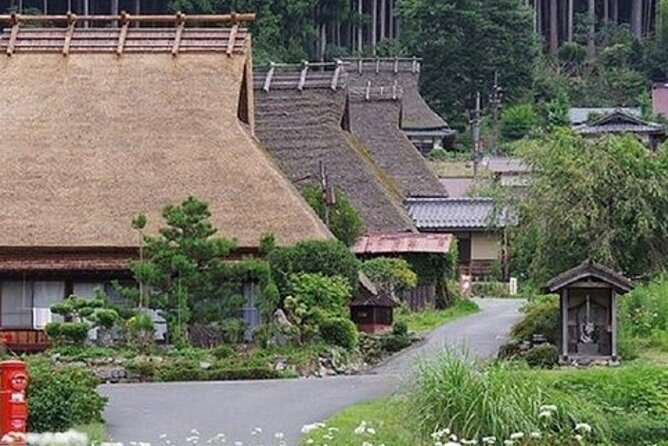 Kyoto, Osaka, Nara Private Tour by Car English Driver Guide