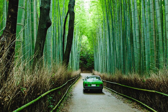 Kyoto Private 6 Hour Tour: English Speaking Driver Only, No Guide