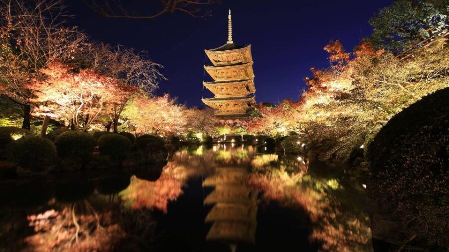 Kyoto: Toji Temple Autumn Nighttime Lightup Walking Tour - Good To Know
