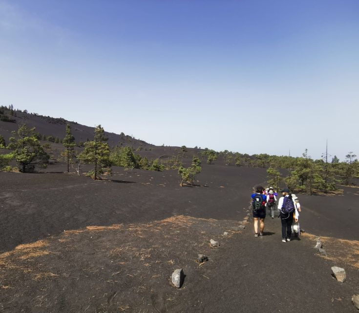 La Palma: Guided Tour to the New Tajogaite Volcano Transfer