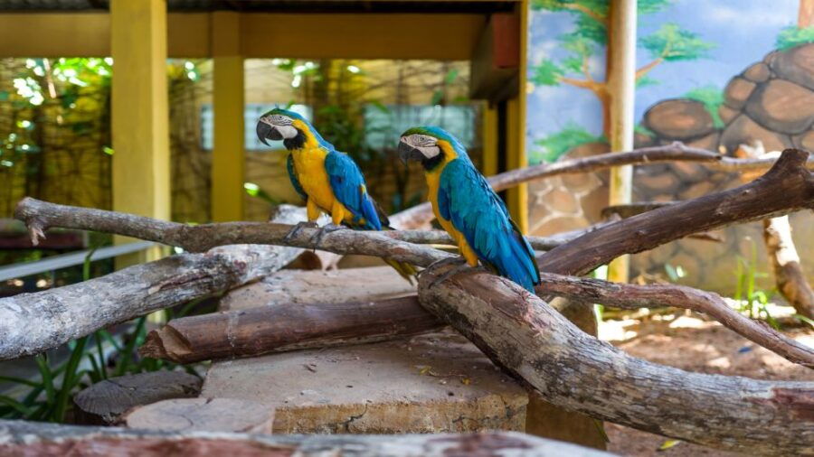 Langkawi: Langkawi Wildlife Park Entry Ticket - Good To Know