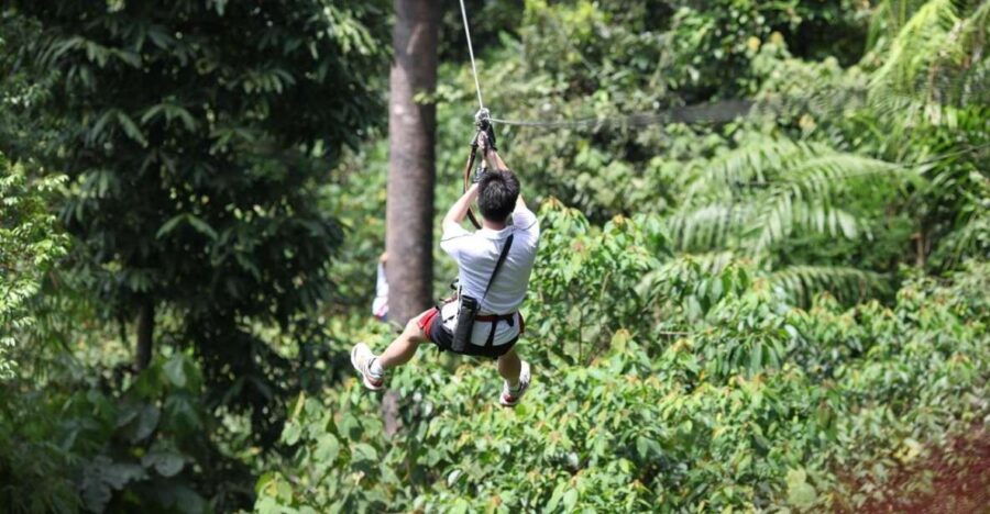 Langkawi: Skytrex Adventure Park Experience Ticket