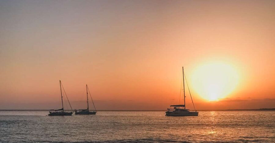 Lanzarote: Dolphin-Watching Sunset Cruise With Transfers - Good To Know