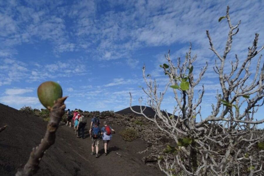Lanzarote: Hike Across Timanfaya's Volcanic Landscapes - Good To Know