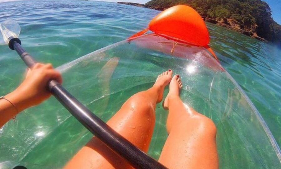 2 Best Canoe And Kayak Experiences In North Island