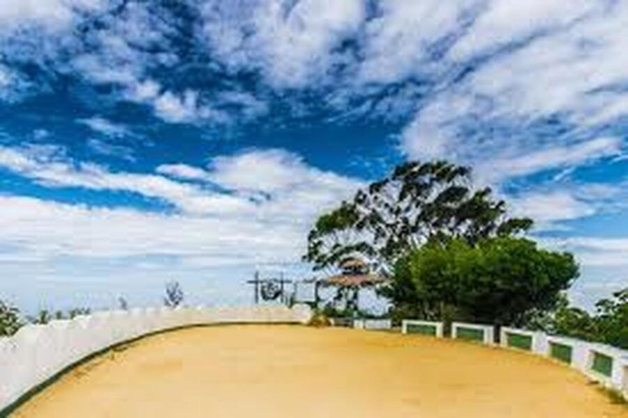 Lipton’s Seat and Tea Factory & Tea Plantation Day Tour