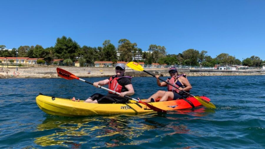 Lisbon Coast Guided Kayak Tour - Good To Know
