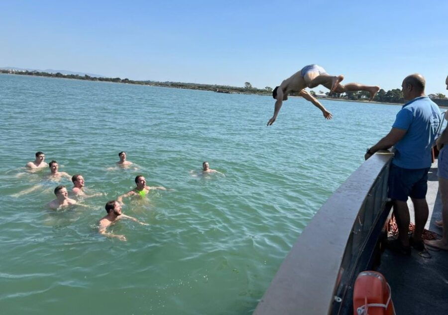 Lisbon: Dolphin Watching Boat Trip With Swim Stop and Drinks - Good To Know