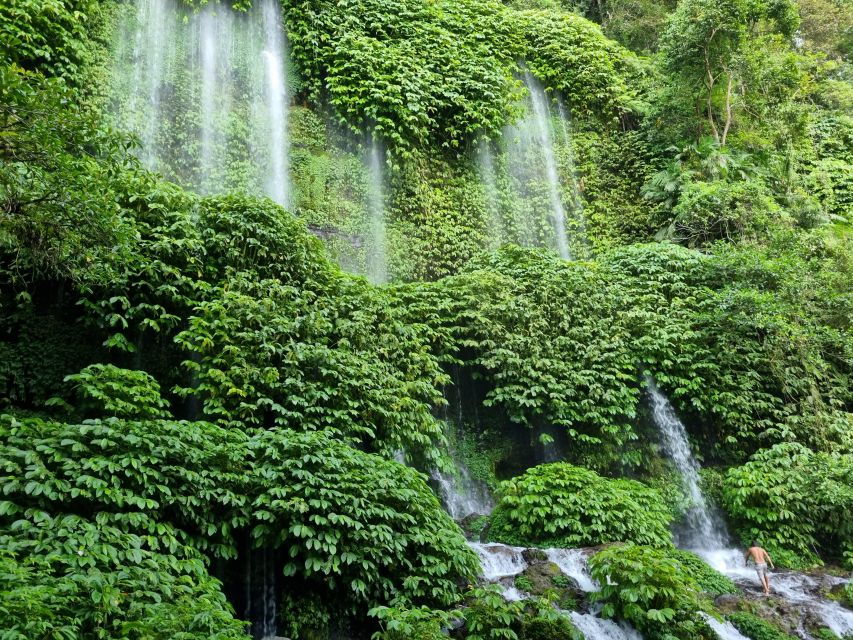 Lombok Rice Terrace Walking Tour & Benang Kelambu Waterfall - Good To Know