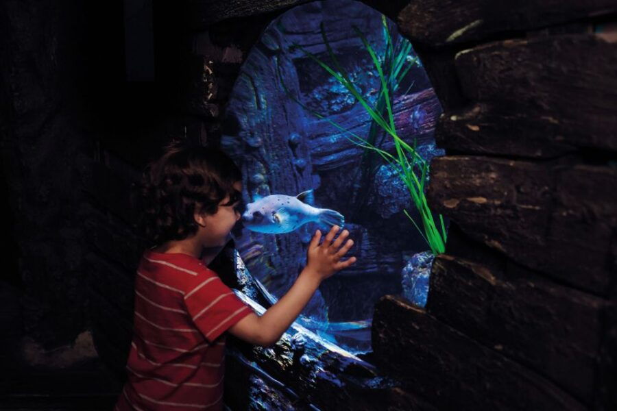 London: Madame Tussauds, London Eye & SEA LIFE Combo Ticket - Good To Know