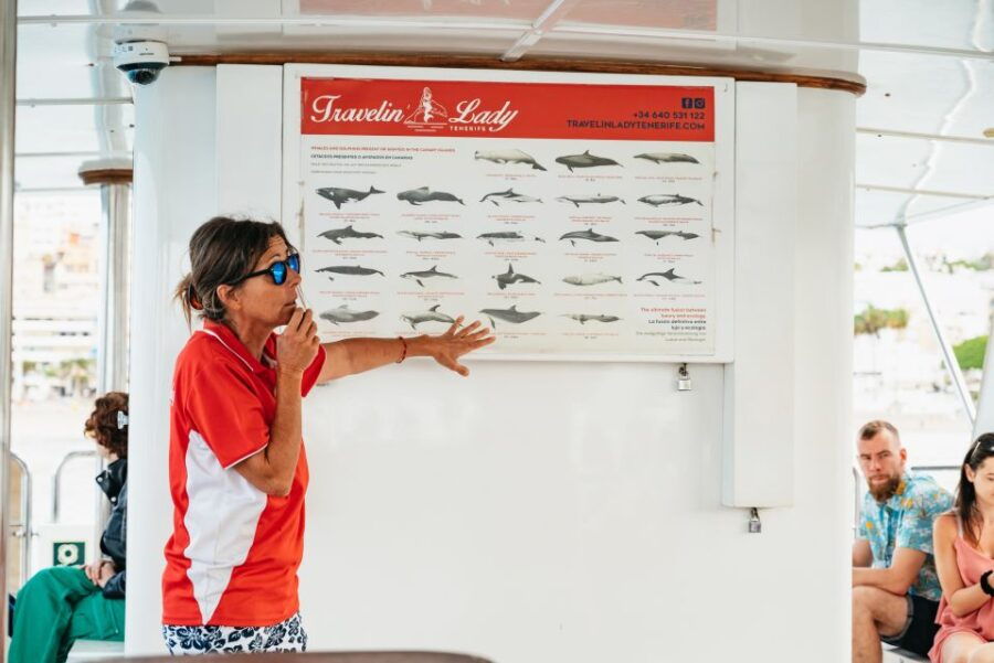 Los Cristianos: Eco-Yacht Whale Watching Cruise With Swim - Good To Know