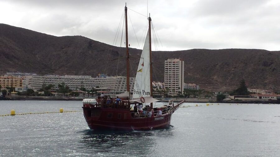 Los Cristianos: Whale-Watching Sailboat Tour and Soft Drinks - Good To Know