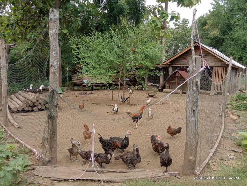 Luang Prabang: Hiking off the Beaten Track With Picnic Lunch - Good To Know