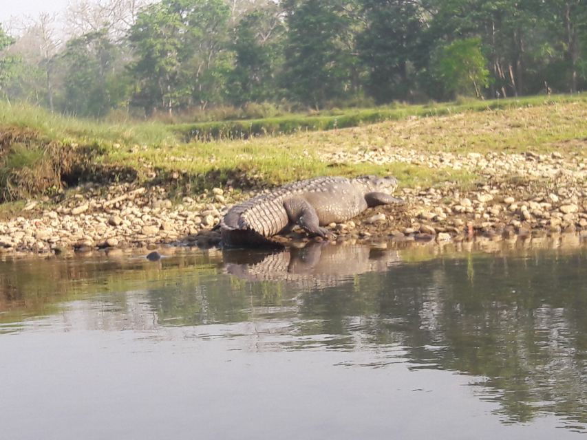 Luxury Excursion: Chitwan and Pokhara - Good To Know