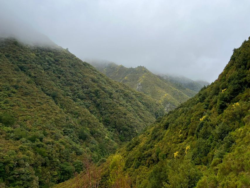 Madeira: 25 Fontes and Risco Levada Hike With Transfers - Good To Know