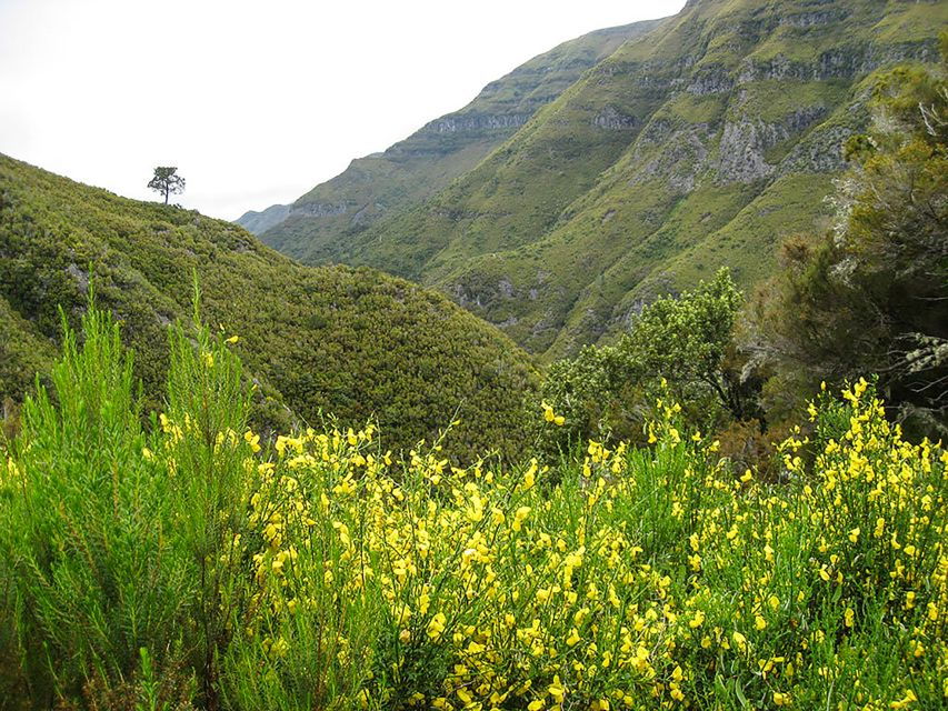Madeira Day Trip: Levada Walk in the Rabaçal Valley - Good To Know