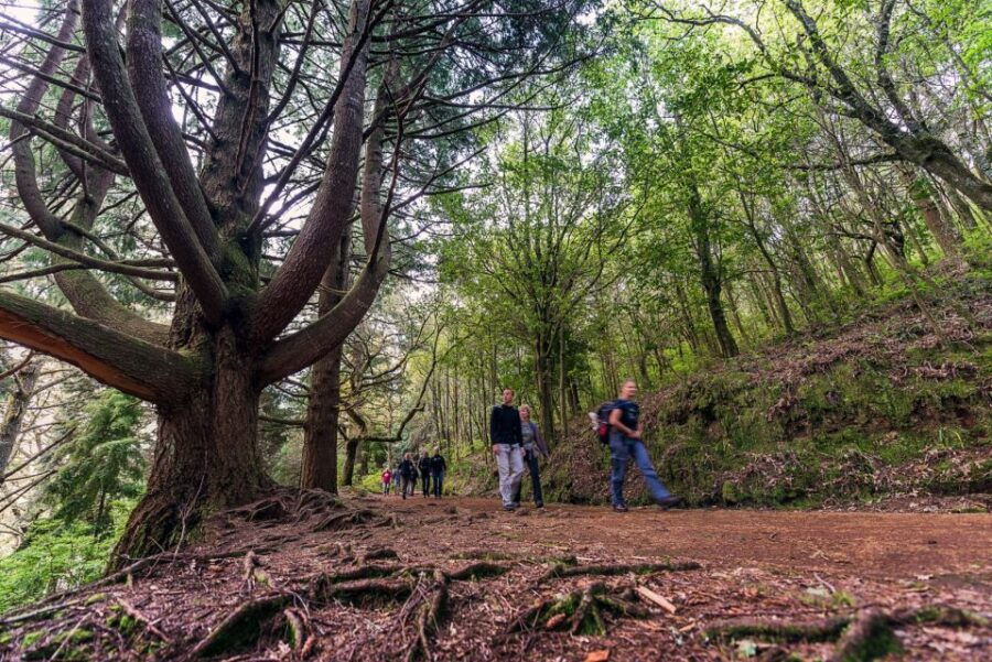 20 Best Walking Tours In Madeira
