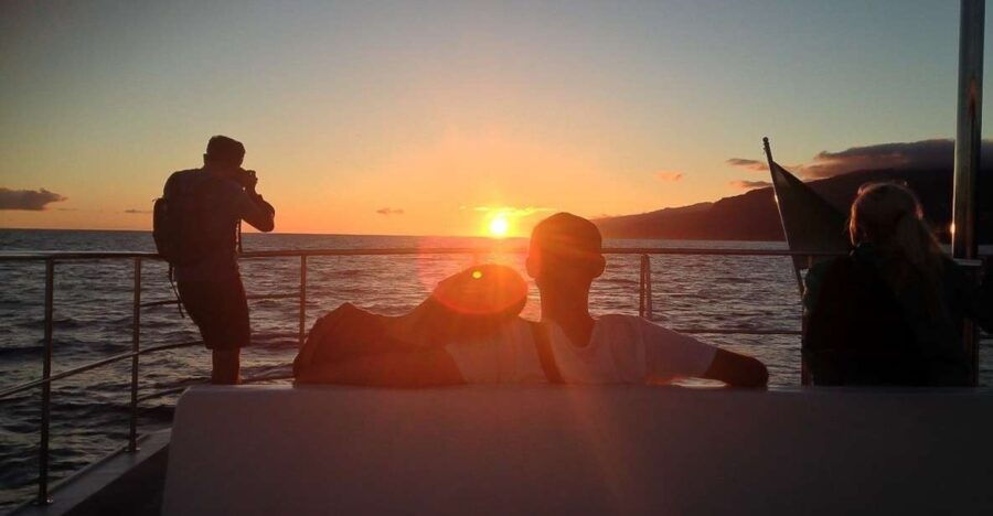 Madeira: Funchal Sunset Tour by Catamaran - Good To Know