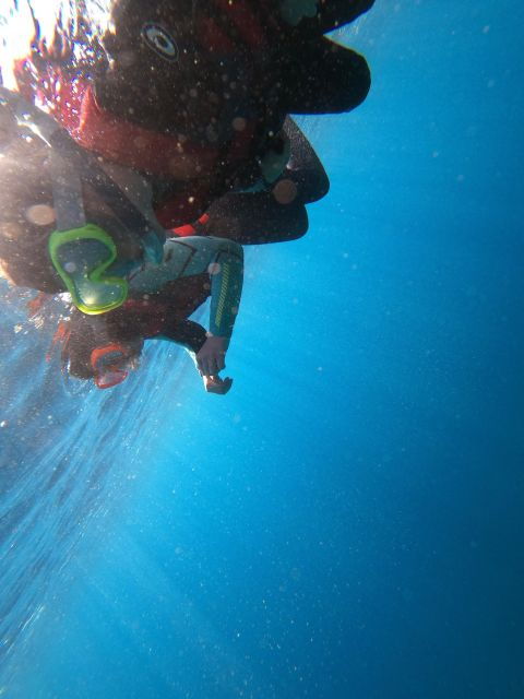 Madeira: Half-Day Coasteering Tour - Good To Know