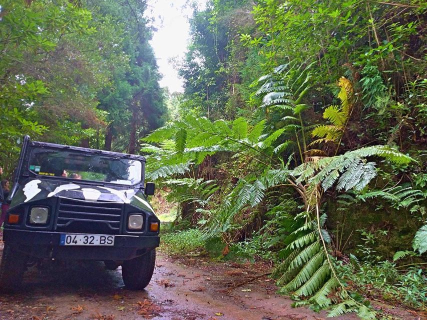 Madeira: Jeep Safari Tour - Good To Know