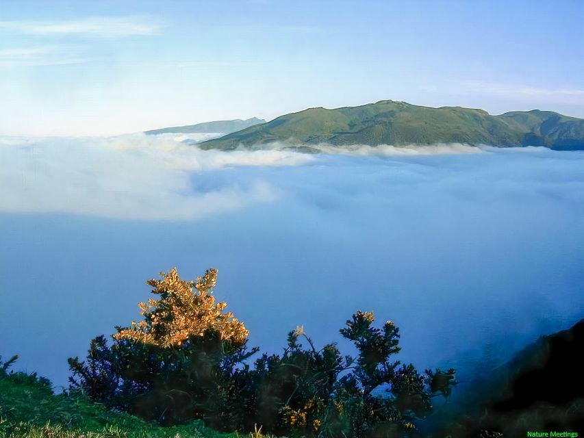 Madeira: Pico Arieiro to Pico Ruivo Hike - Good To Know