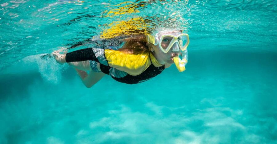 Madeira: Snorkeling Trip Marine Reserve of Garajau - Good To Know