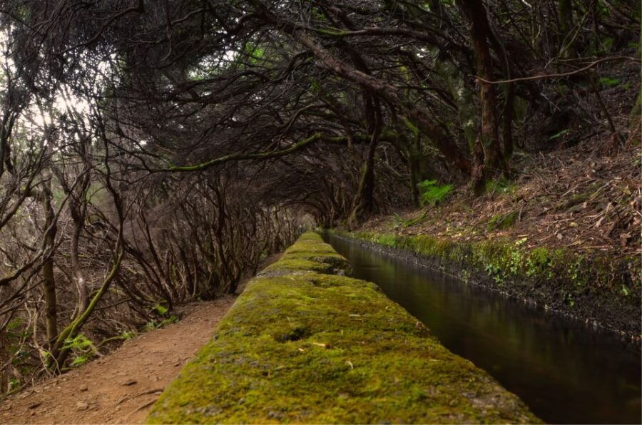 Madeira Walks - Rabaçal and the 25 Fountains - Good To Know