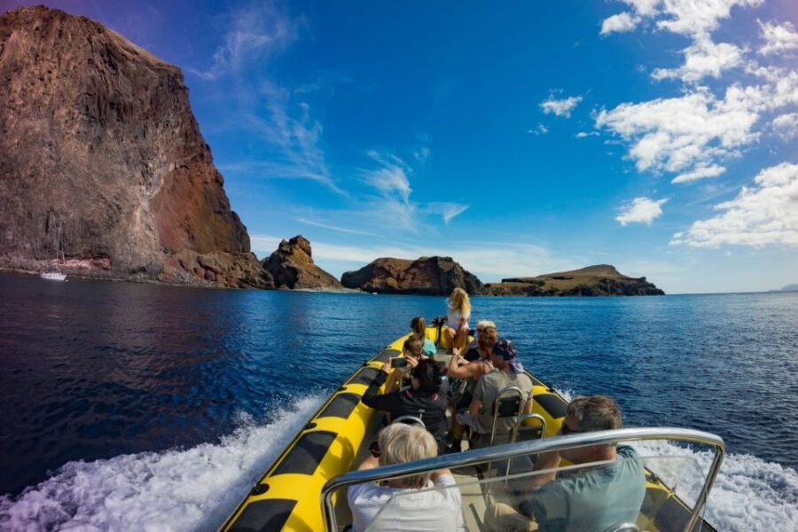 Madeira: Whale and Dolphin Watching Tour - Good To Know