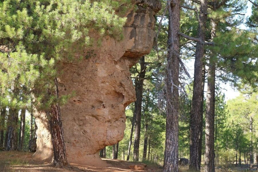 Madrid: Day Trip to Cuenca and The Enchanted City - Good To Know