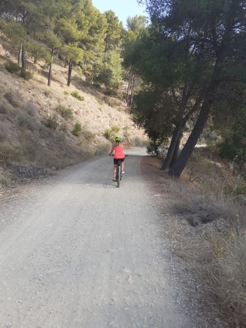 Málaga: 3-Hour E-Bike Tour of Montes De Malaga Natural Park - Good To Know