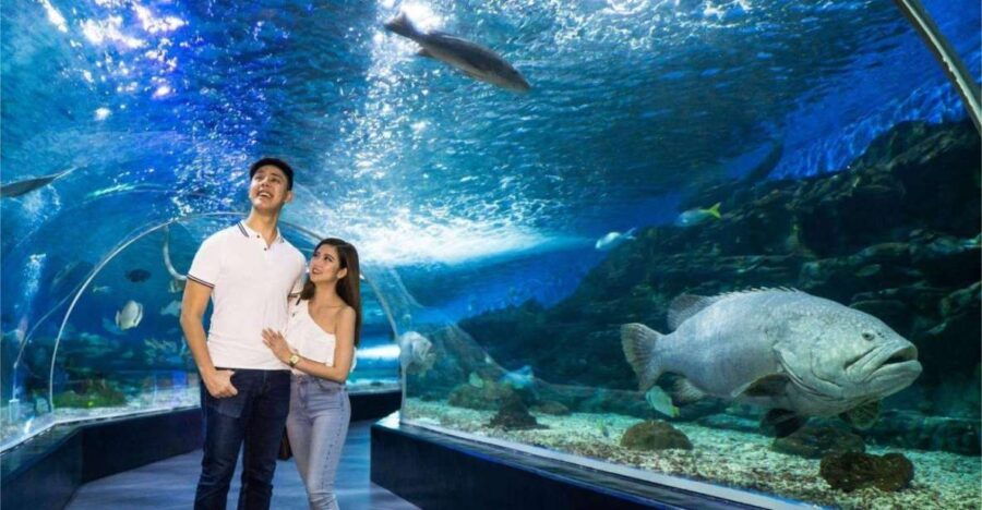 Manila: Manila Ocean Park Entry Ticket - Good To Know