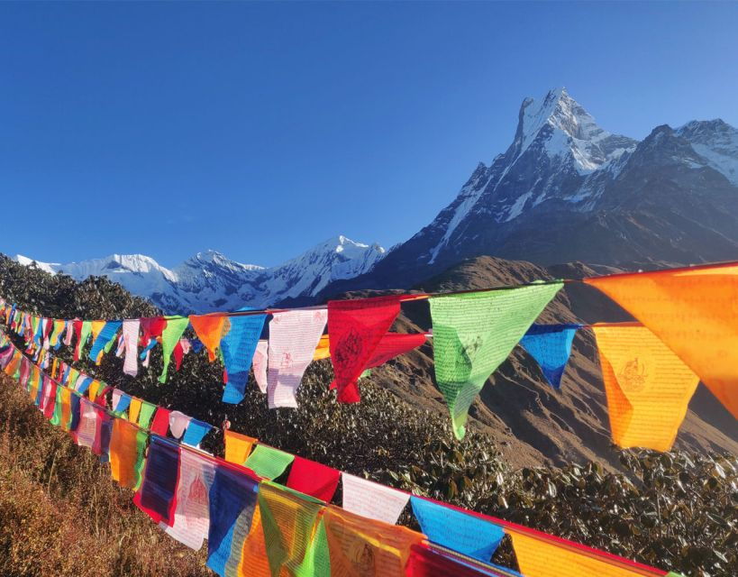 Mardi Himal Base Camp Yoga Trek 7-Day - Good To Know