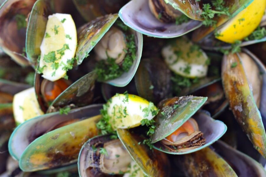 Marlborough: Full-Day Wine and Seafood Tour With Cruise