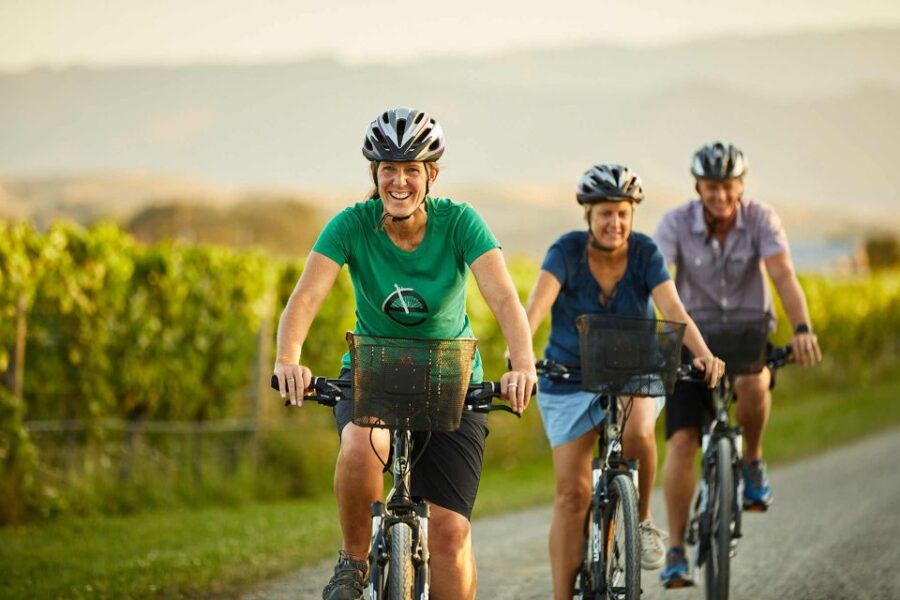 Marlborough Half Guided & Half Self-Guided Bike Wine Tour