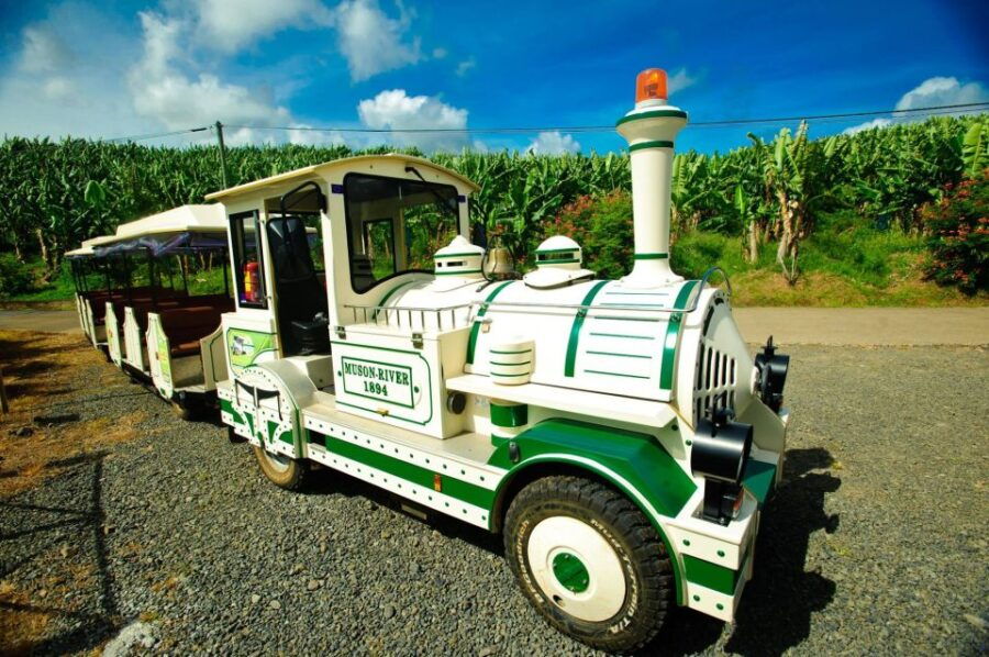 Martinique : Visit a Banana Plantation by Train - Activity Details and Booking Information