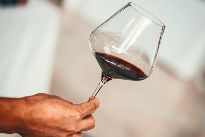 Medoc Region Wine Day Trip With Vineyard Visits & Tastings From Bordeaux - Good To Know