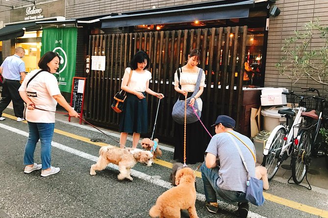 Meet the Lucky Cats in Suburban Tokyo: Gotokuji Walking Tour - Good To Know
